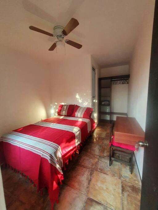 Casa Canseco Oaxaca Экстерьер фото